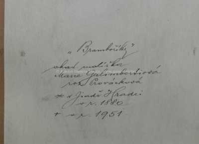  / Bramboříky / Marie Galimbertiová-Provázková