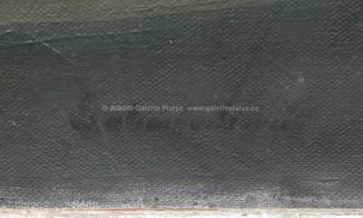  / Bramboříky / Marie Galimbertiová-Provázková