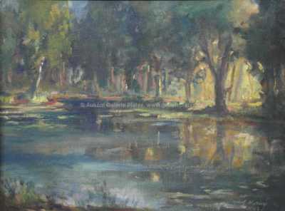  / Kaprový rybník u Třeboně / S. Horný