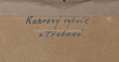  / Kaprový rybník u Třeboně / S. Horný