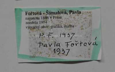  / Korčula / Pavla Fořtová-Šámalová