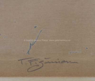  / Pražský hrad / František Tavík Šimon