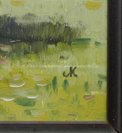  / Šohaj /   Autor neurčen