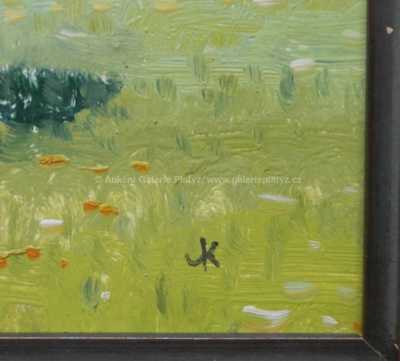  / Selka /   Autor neurčen