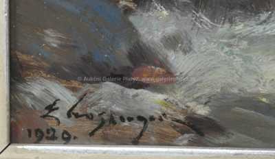  / Skalisko / Emanuel Hosperger