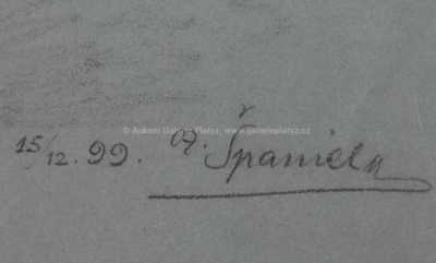  / Studie / Otakar Španiel