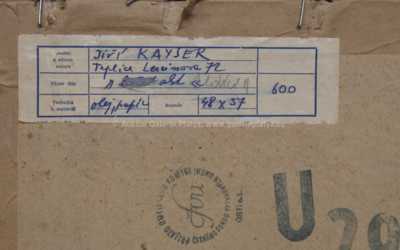  / Akt / Jiří Kayser