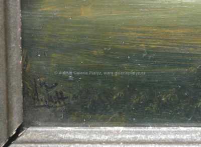  / Letní koupání / Alois Tott