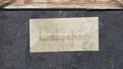  / Zlomená borovice / Karel Liebscher