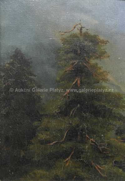  / Zlomená borovice / Karel Liebscher