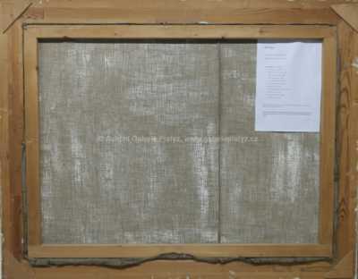  / Praha / Jiří V. Peca