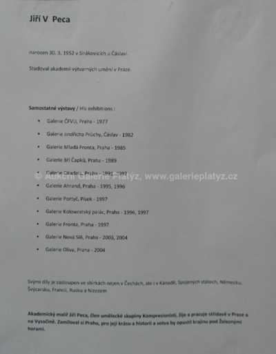  / Praha / Jiří V. Peca
