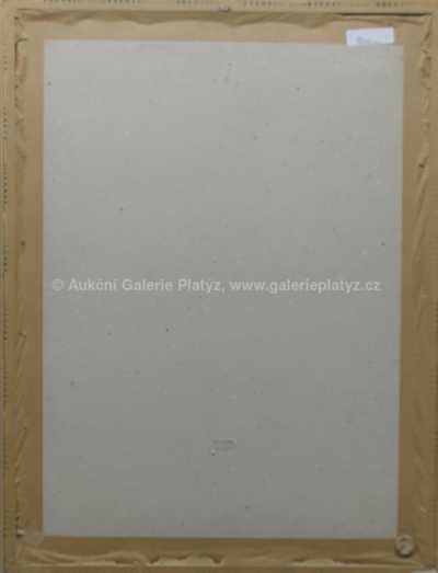  / Abstraktní vlašťovky / Jaromír Skřivánek