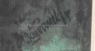  / Abstraktní vlašťovky / Jaromír Skřivánek