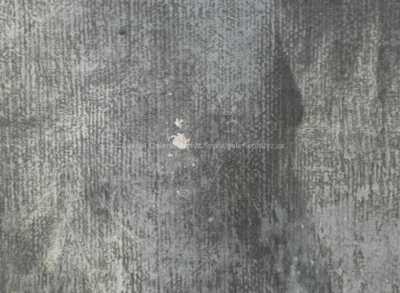  / Psí kamarádi /   Autor neurčen