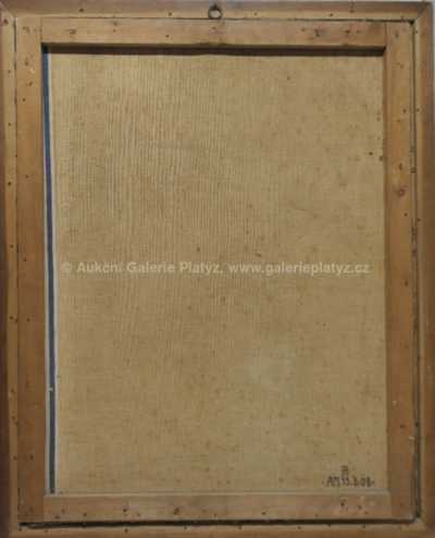  / Psí kamarádi /   Autor neurčen