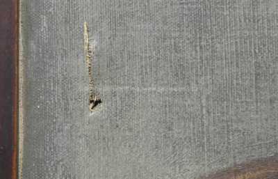  / Psí kamarádi /   Autor neurčen