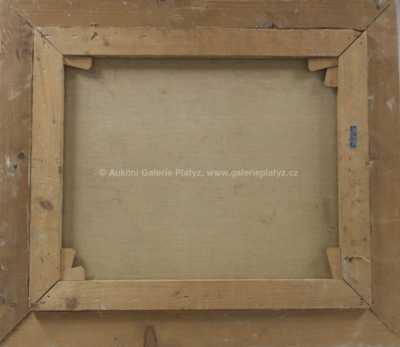  / Horské údolí / Maryša Neubertová