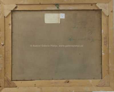  / Jezero pod horami / František Horký