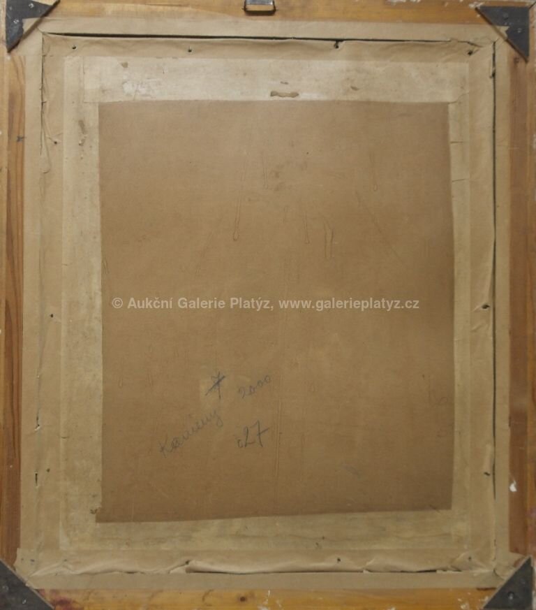  / Lesní balvany / František  Havránek - Zimmerhansl