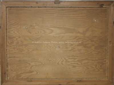  / Zasněžená vesnička / Stanislav Feikl