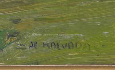  / Zámek Pernštejn / Alois Kalvoda