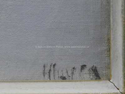  / Hluboký sníh / Oldřich Hlavsa