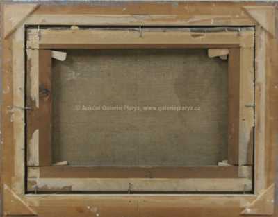  / Hluboký sníh / Oldřich Hlavsa