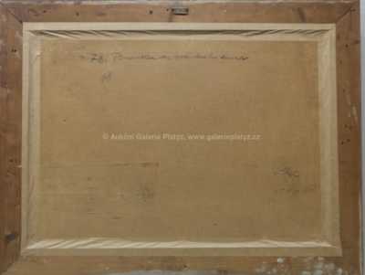  / Branka do vožického dvora / Ota Bubeníček