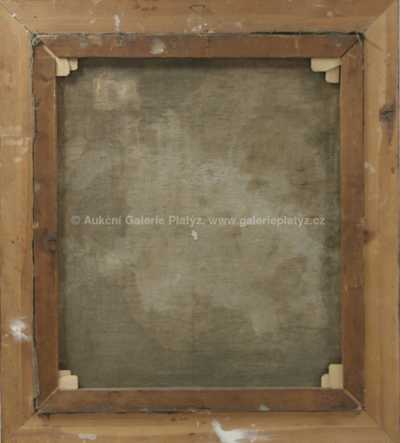  / Lesní bystřina / Helena Šrámková