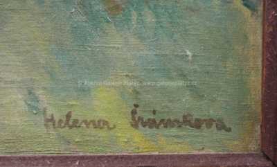  / Lesní bystřina / Helena Šrámková