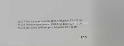  / Na kluzišti / Kamil Lhoták