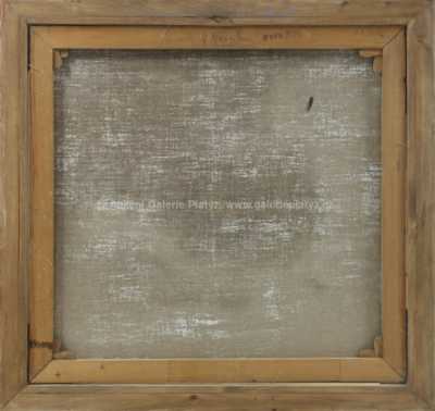  / Meditace / Vladimír Novák