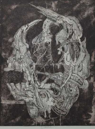  / Lebka / Jiří Anderle
