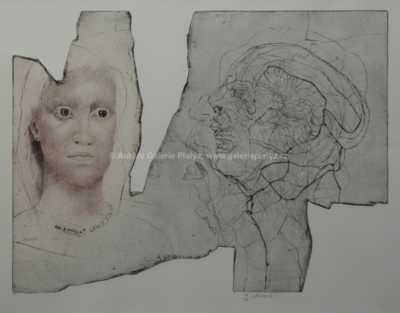  / Andromeda a Medusa / Jiří Anderle
