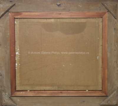  / Z Orlických hor / Jan Slavíček