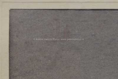  / Krojovaná dívka v kožíšku / Joža Uprka