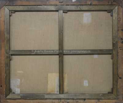  / Pohled na Dubrovník / Josef Písecký (Liška)