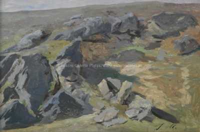  / Kamenitá stráň / Julius Mařák