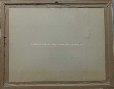  / Stavení / Václav Haise