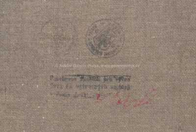  / Kamený přívoz / Lucie Klímová