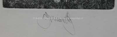  / Summer Image III. / Albín Brunovský