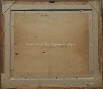  / Vlčí máky u Jenišovic / Jindřich Fürst