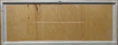  / Jarní tání / František Emler