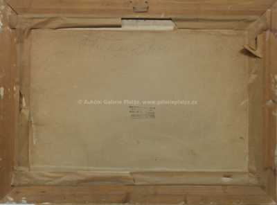  / Z Hořína / Václav Trefil