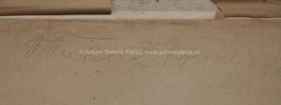  / Z Hořína / Václav Trefil