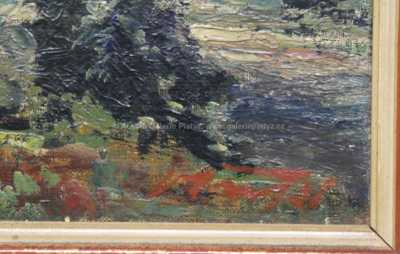  / Z Hořína / Václav Trefil