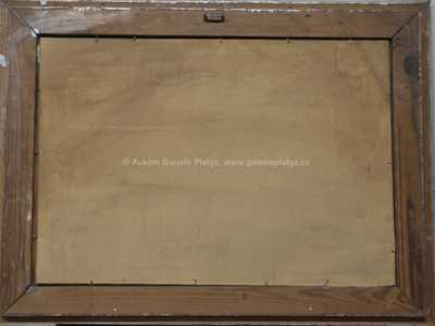  / Kamenný můstek / Ota Bubeníček