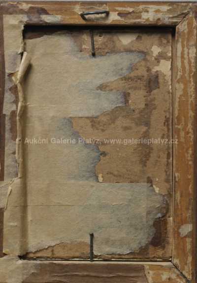  / Dívka v klobouku / František Ženíšek