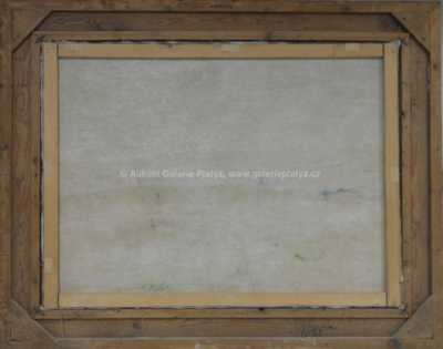  / Rozkvetlá louka / František Horký